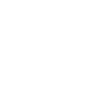 ராய்சூர்